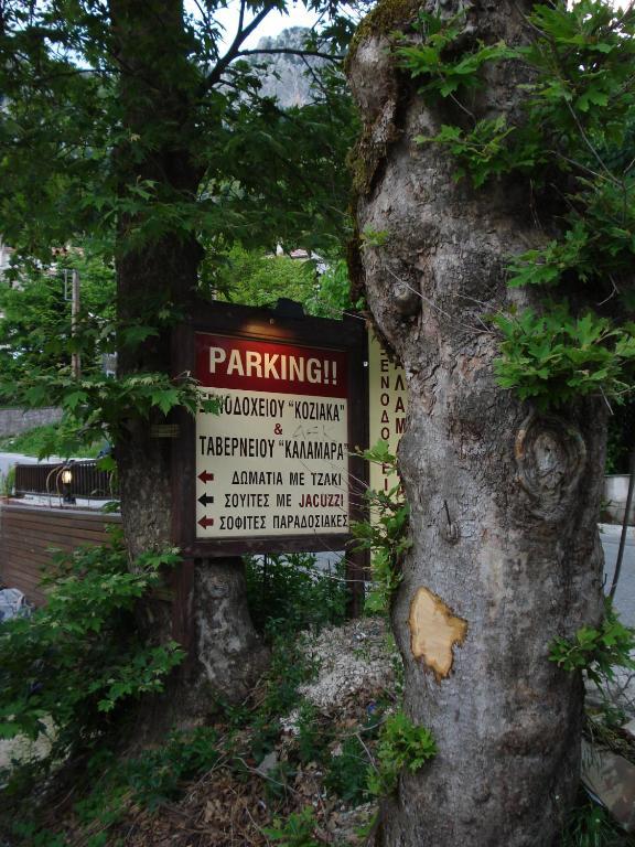 Hotel Koziakas Elati  Экстерьер фото